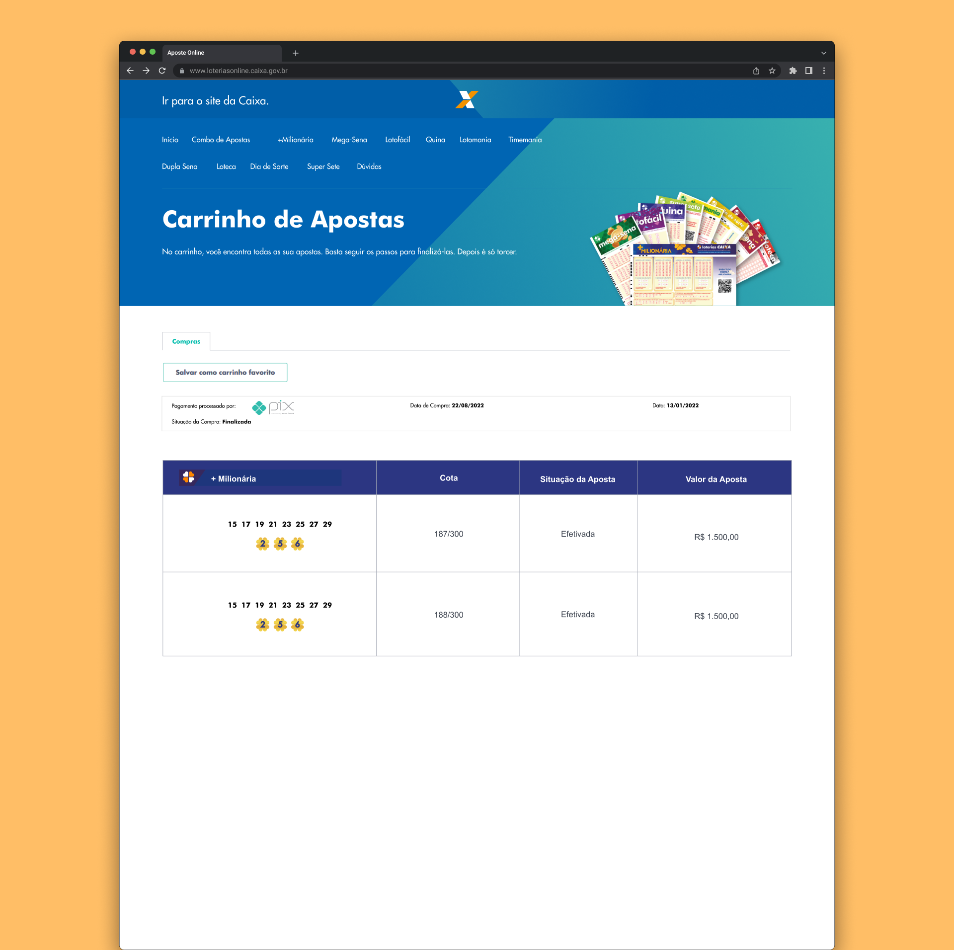 Payment screen detail